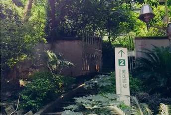 去看洪崖洞风景,去看洪崖洞路线