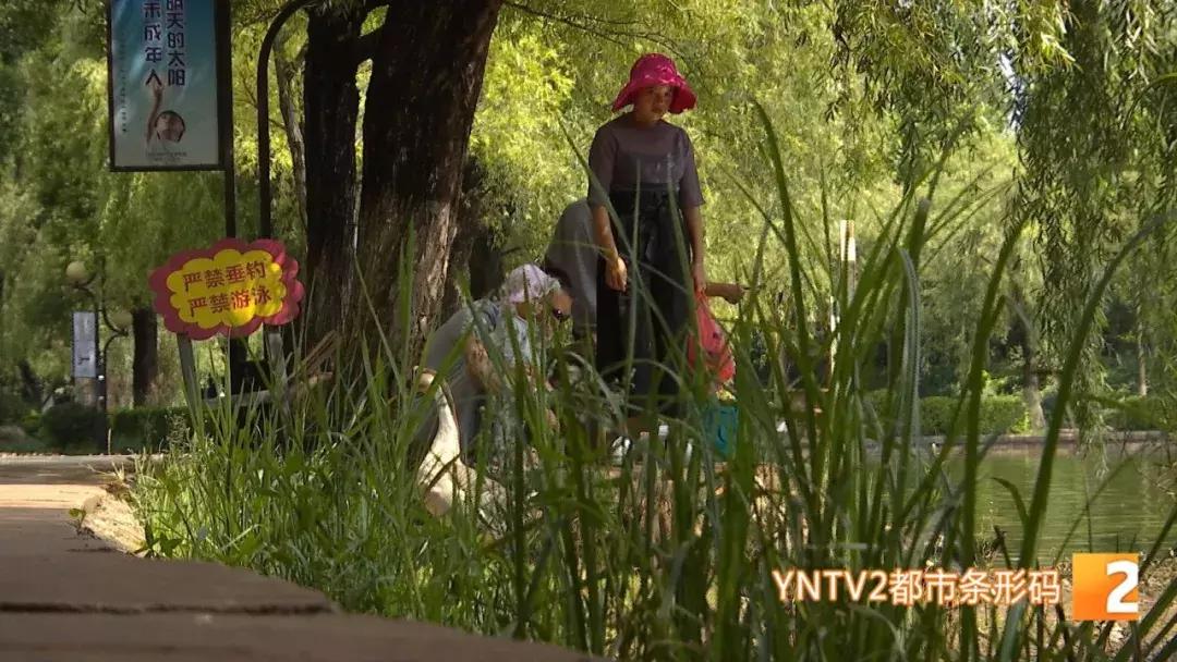 月牙潭公园免费拍照,月牙潭公园收费吗