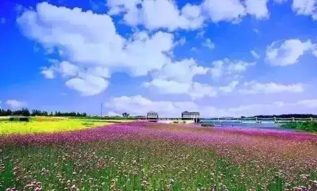 喜欢徐州的100个理由，有你的吗？