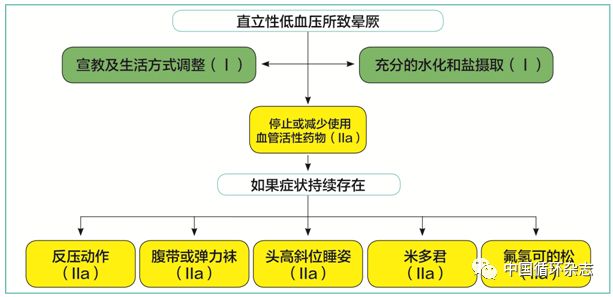 欧洲晕厥指南两大主席同台讲解2018指南：患者教育是反射性晕厥治疗基石