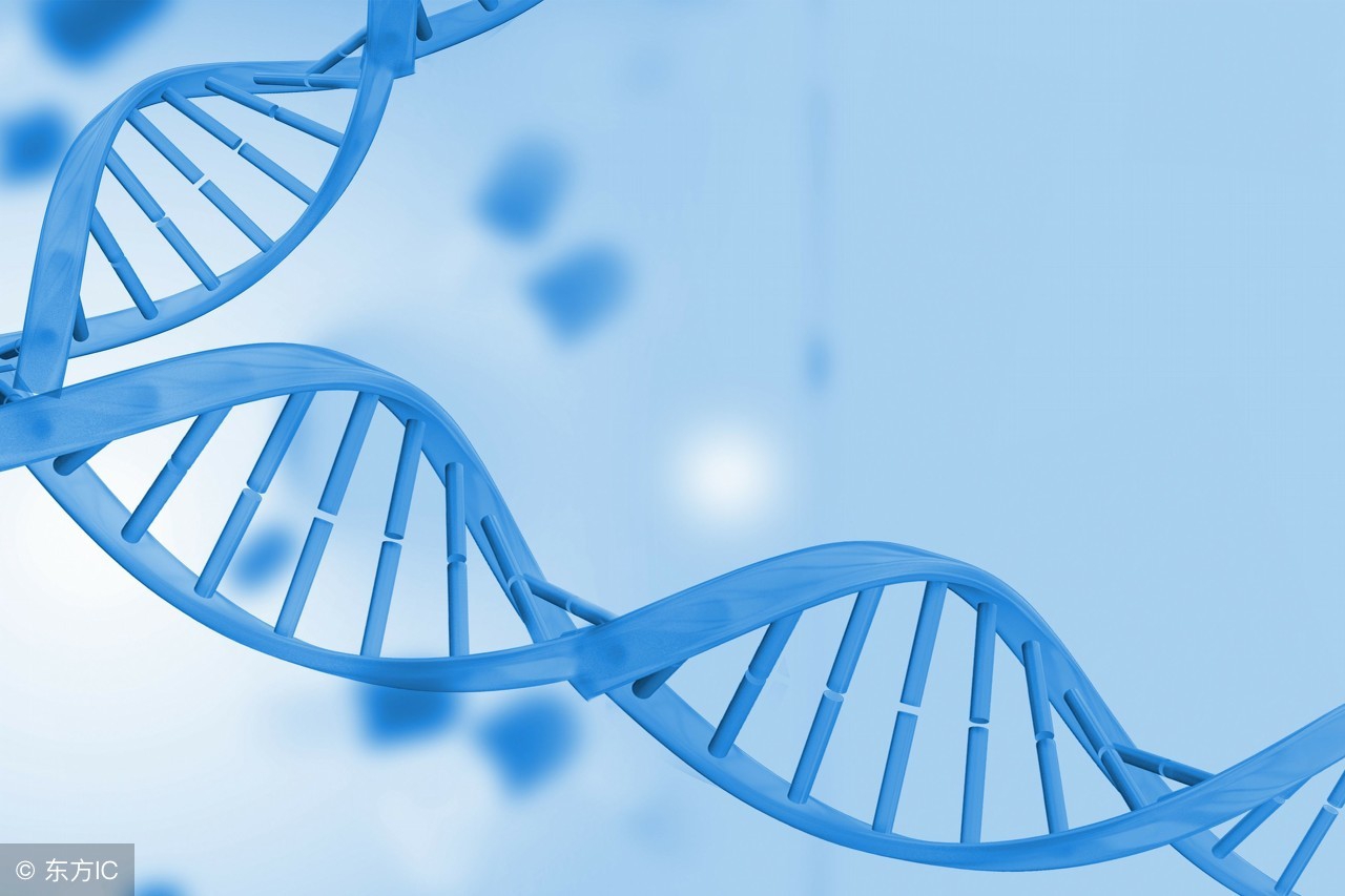 虾蟹过敏会遗传吗,怀孕吃虾过敏