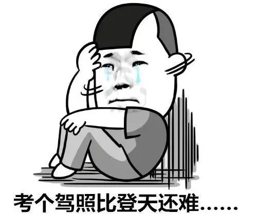 今年驾校生意,现在为什么驾校报名费这么高了