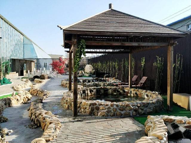 鞍山市绿中海温泉水上乐园团购,鞍山绿中海温泉度假村有游泳馆吗