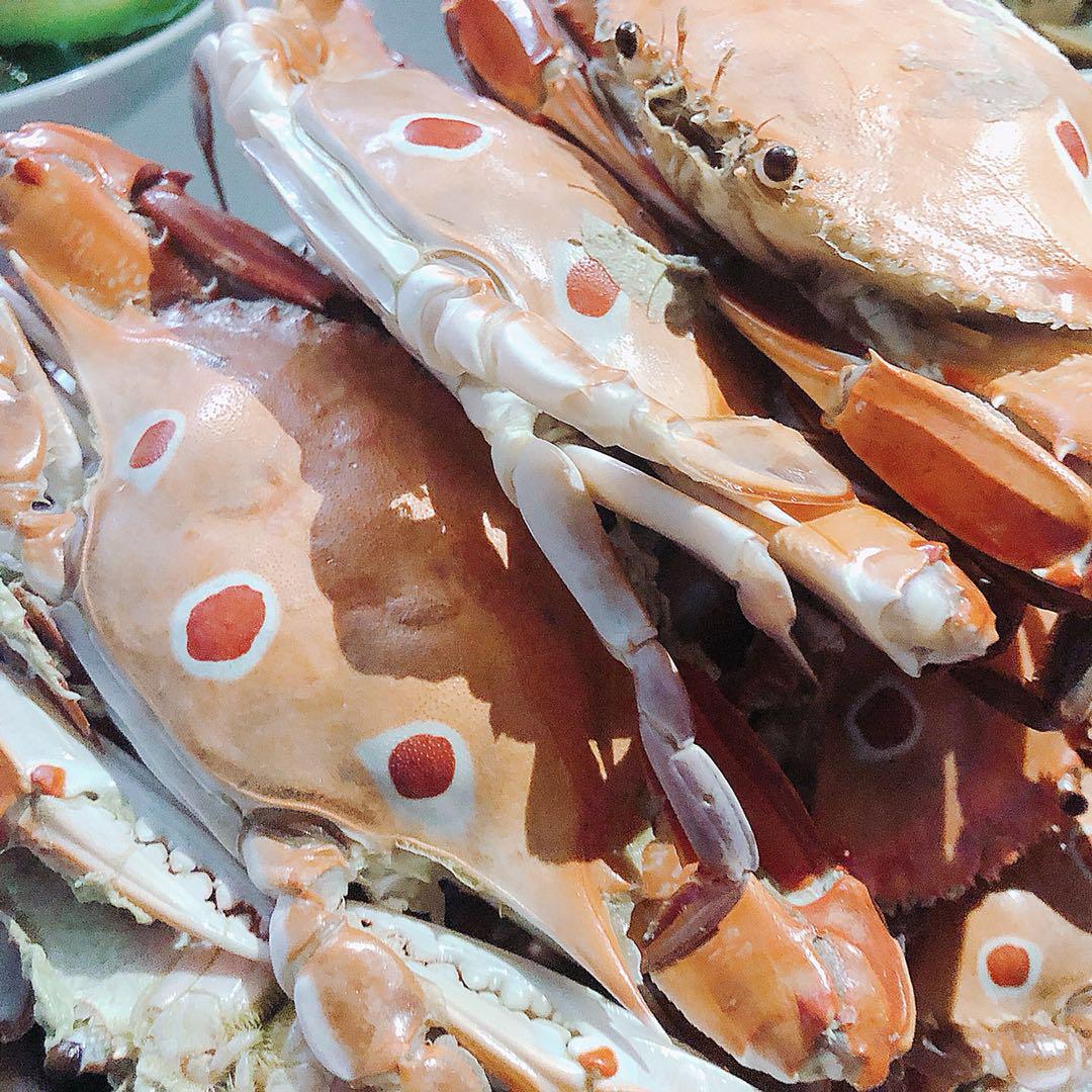 旅游天天荐：万恶之帝-香港