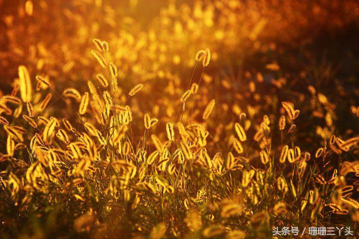 用色彩和光线拍出来的摄影作品,大色块高饱和度摄影什么风格