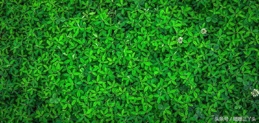 用色彩和光线拍出来的摄影作品,大色块高饱和度摄影什么风格