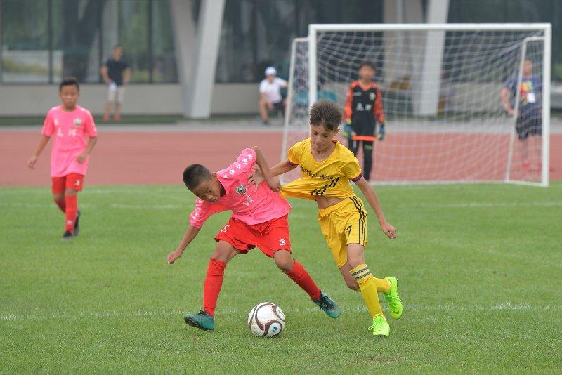 2022北京39届晚报百队杯,北京晚报百队杯篮球赛直播