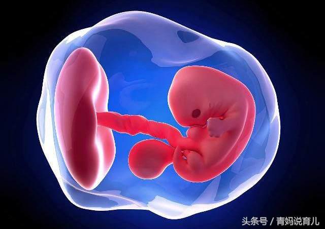 孕早期哪些情况说明宝宝有异常,孕期这4种症状是胎宝在保平安