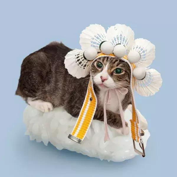 猫咪卧在盘子,猫咪卧在桌子上