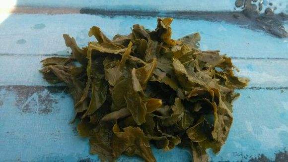 自制花肥恶臭冲天？用这4个小窍门，花肥不*作臭**用更好！