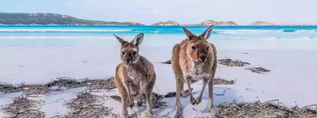 南澳除了美酒美食，还有这些超酷的打卡体验