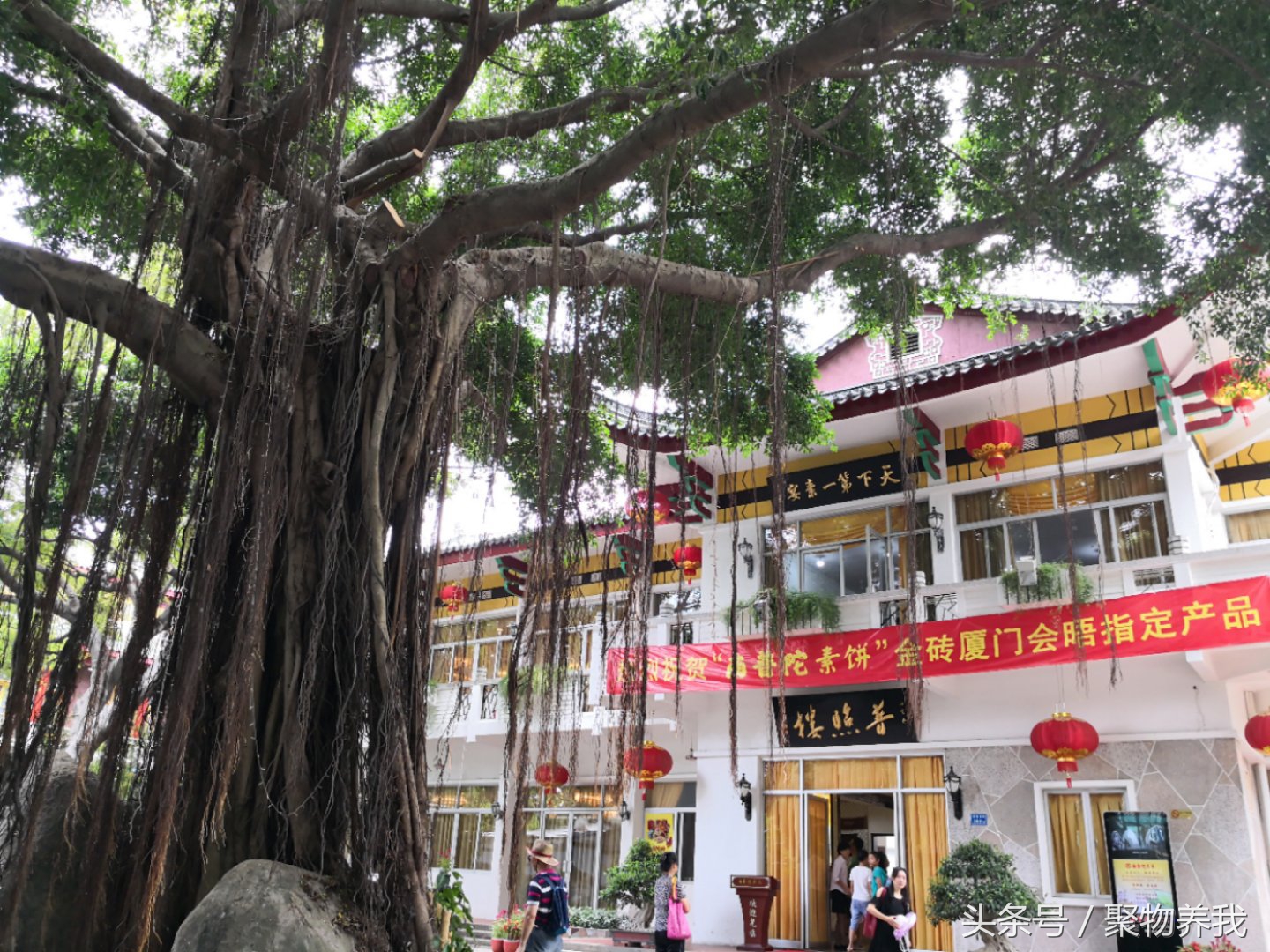 厦门南普陀寺里面的自助餐厅,厦门南普陀自助素菜馆