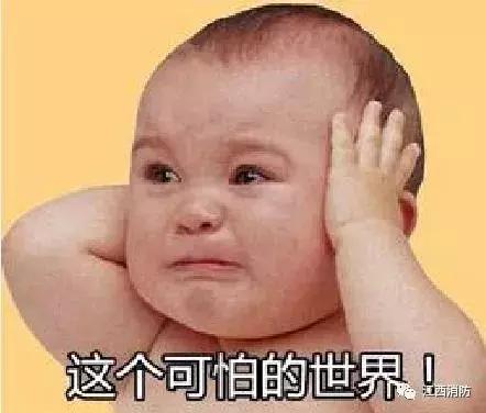 家中进蛇怎么防止进屋,家中怎样防蛇进去