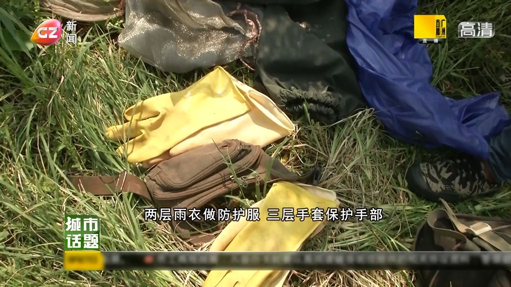 马蜂巢怎么处理,马蜂热门话题