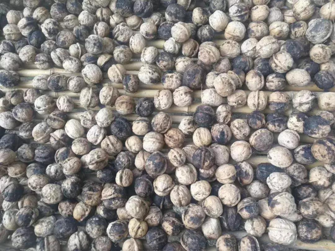 青皮核桃小时候的味道,青皮核桃是哪里特产