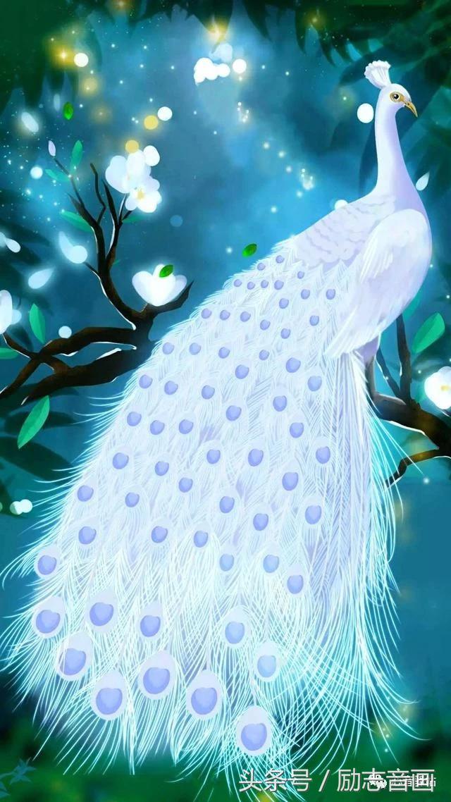 综合知识78集，赶紧保存，早晚用得上！