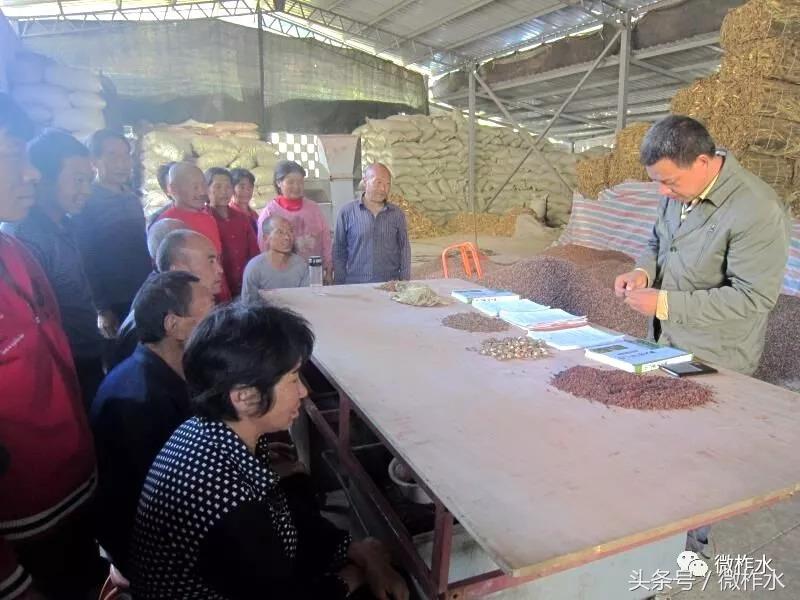 柞水县实现脱贫致富的经验有哪些,柞水脱贫致富干实事