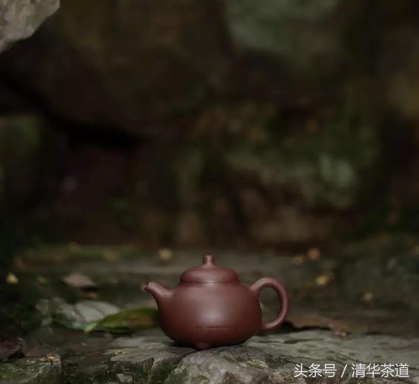 紫砂壶茶友日常泡茶,资深茶友紫砂壶
