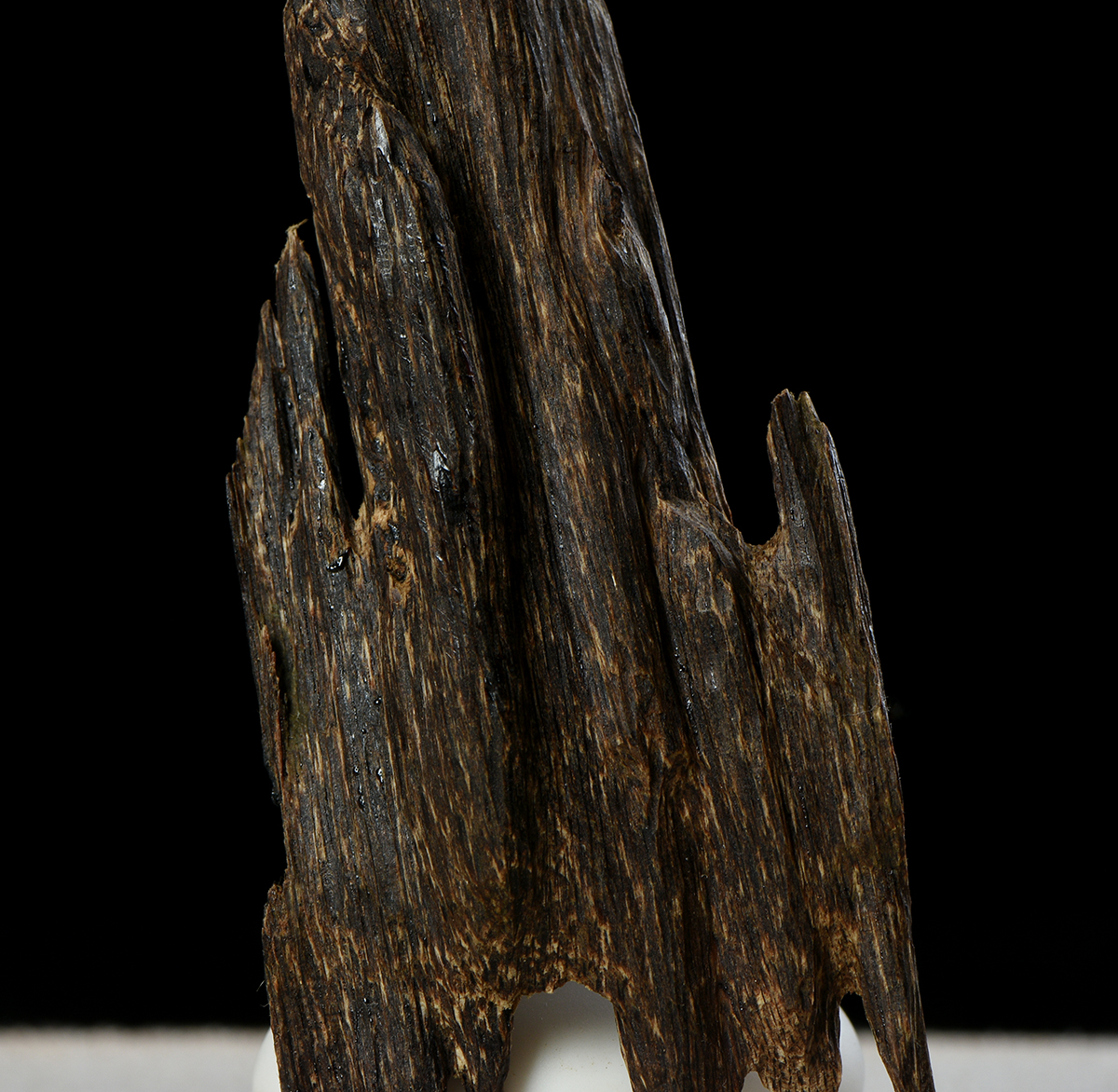 徐文祺讲沉香是什么木,黑油格沉香与黄油格沉香的区分