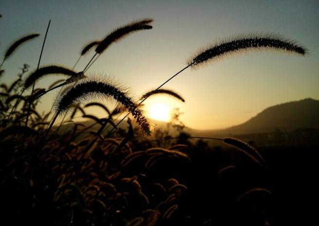 我该如何面对抑郁症的老公,怎么才能知道老公是否有心理问题