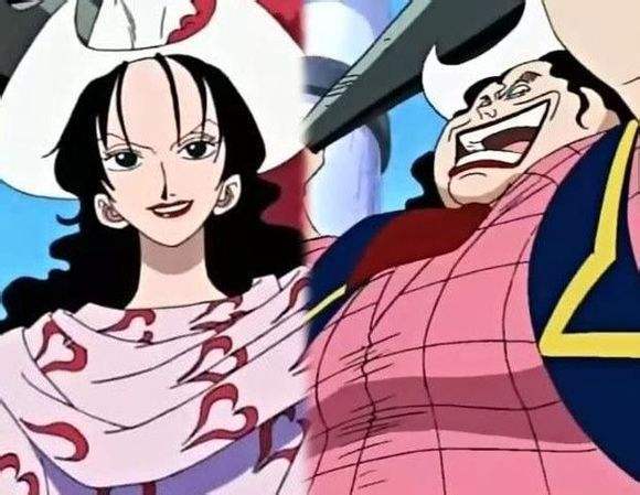 海贼王中适合女性的五种果实能力,海贼王最弱恶魔果实