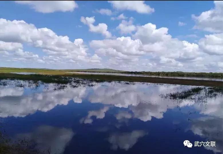 内蒙古呼伦贝尔夏日之旅,夏日跟喜欢的人旅行来呼伦贝尔