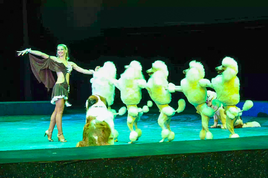 珠海长隆海洋王国亲子游攻略最新,长隆海洋世界亲子游攻略企鹅