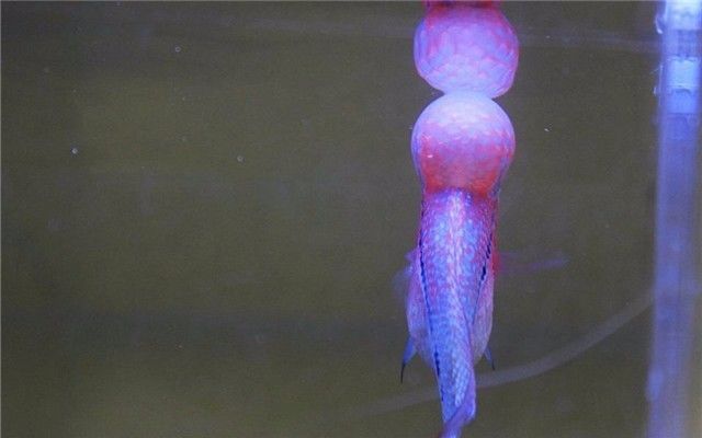 这些事千万不要做,这些事情千万不要做