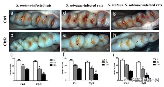 噬菌体治疗当前的研究和应用,噬菌体的最新研究