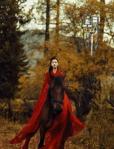 魏璎珞被封杀了吗,魏璎珞事件最新消息