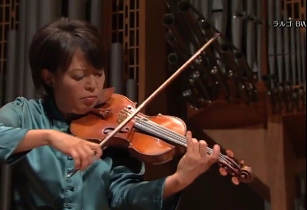 哪些乐器可以带上飞机,乐器怎么上飞机