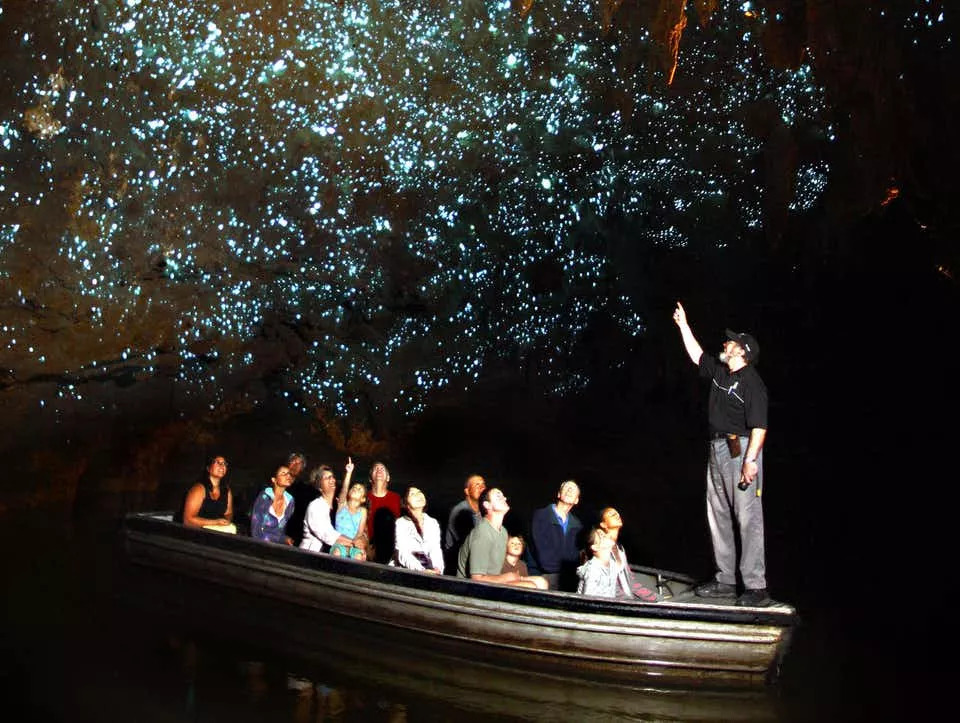 澳大利亚和新西兰旅行哪个贵,澳大利亚和新西兰怎么玩