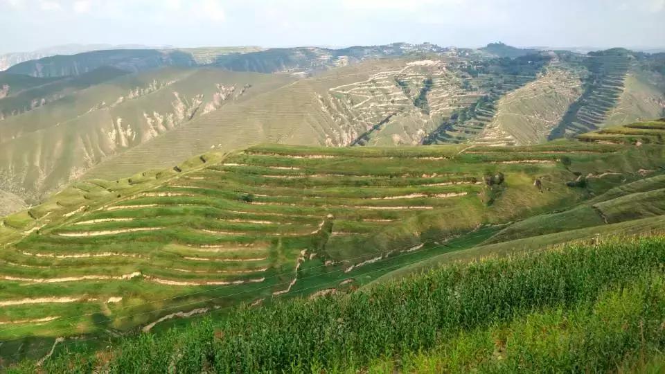 拉卜楞寺喇嘛居然能讲一口流利的英语桑科草原跑马收费陷阱多