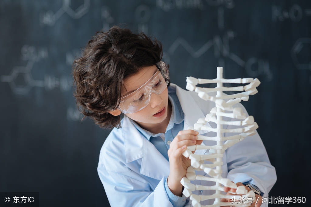 化学工程与技术就业方向与前景,能源化学工程就业前景好不好