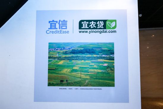 喜讯连连再创佳绩,宜信宜农贷公益项目