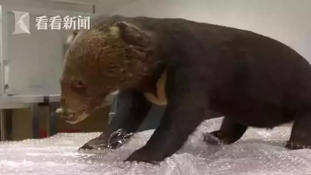 朋友圈代购真实案例,揭露各种海外代购真相