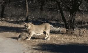 朋友圈代购真实案例,揭露各种海外代购真相