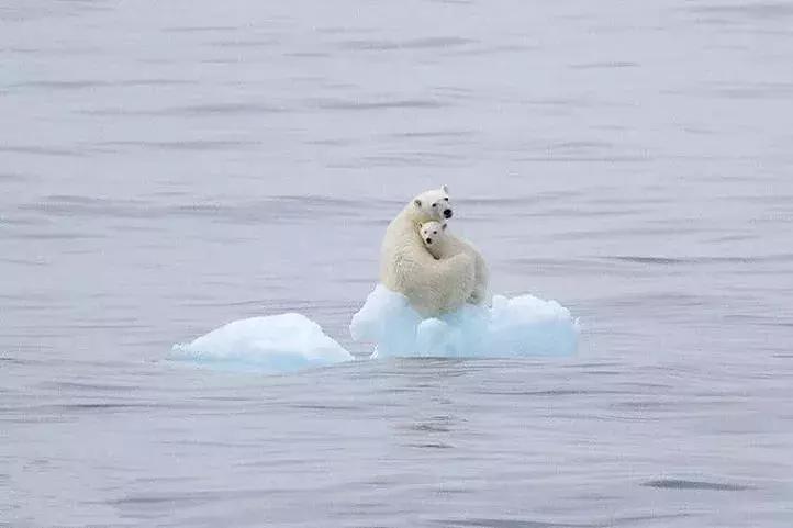 90后女孩践行零垃圾生活，四年产生的垃圾一个玻璃瓶就能装下……