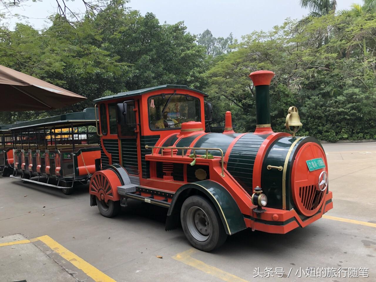 全国唯一可以看考拉的动物园,考拉野生动物园