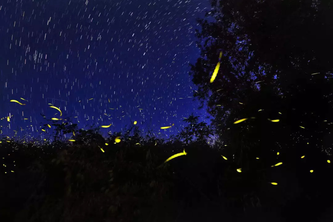 又挖到一个小众旅游的宝地美到哭,又挖到一座小众绝美海岛