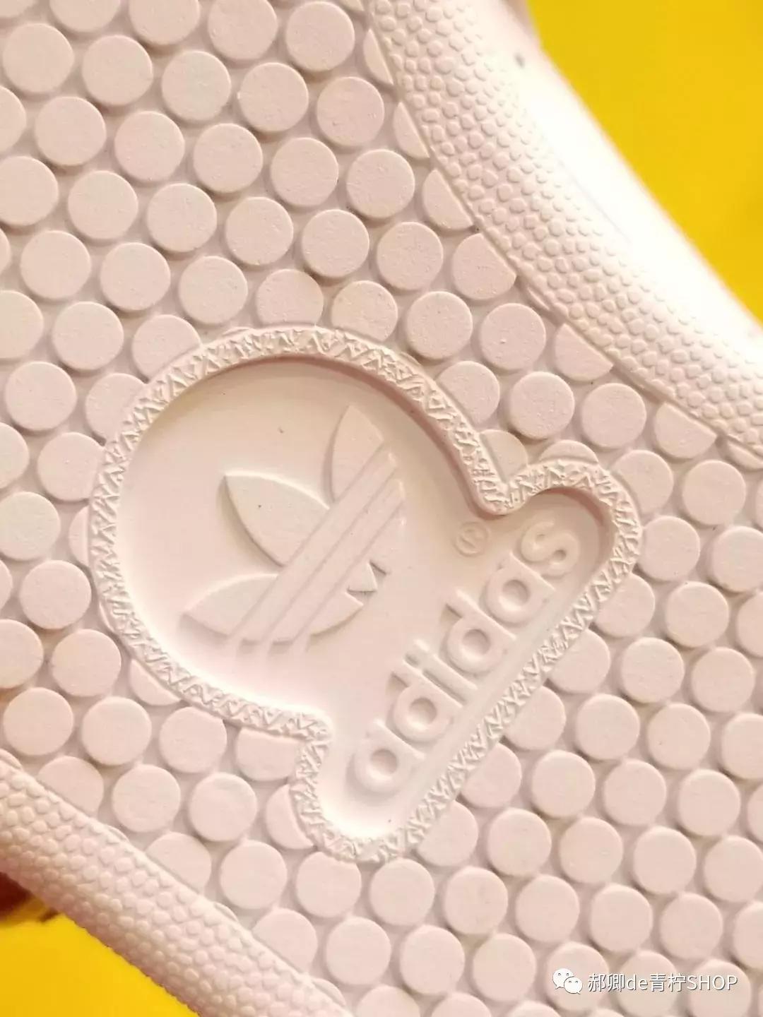 为什么绿尾少,绿尾是什么