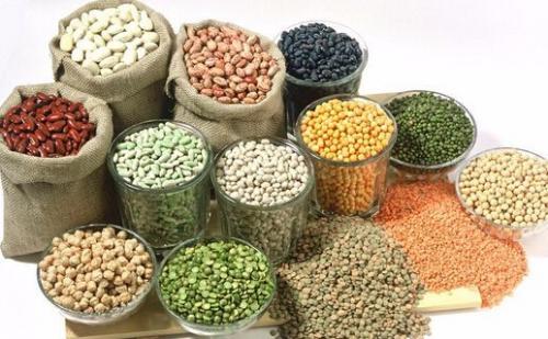 虚胖的人怎么减肥呀,虚胖的人怎么减肥最快最有效