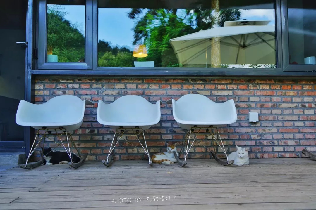 山楂树下农家,辉县山楂树下农家