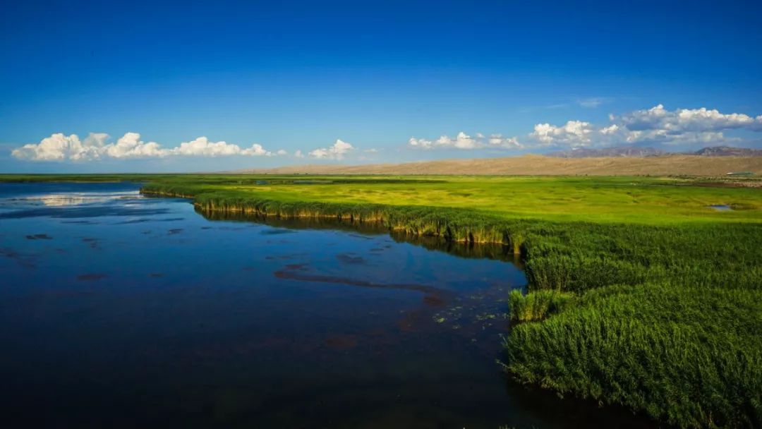 坐不住啦!十月机票低至150元,比火车票还便宜!石河子出发玩遍全国!