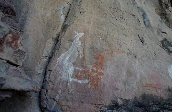 深圳有没有直飞悉尼的航班,深圳直飞悉尼最新消息