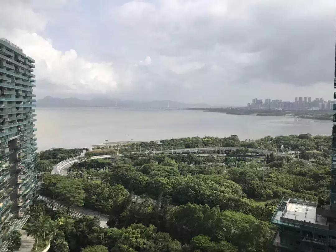 红树西岸位于红树湾商圈,红树湾红树西岸花园价格