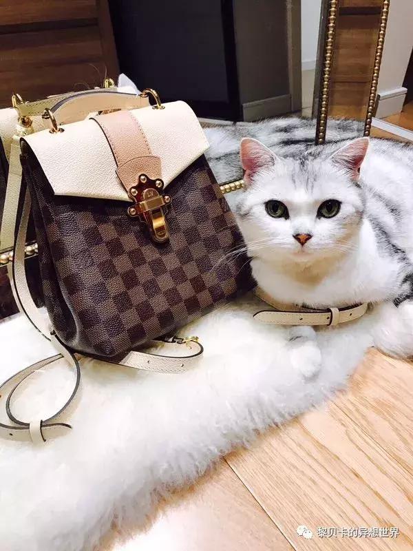 如果这一辈子只能选择一款饮料,如果这辈子只选一块表