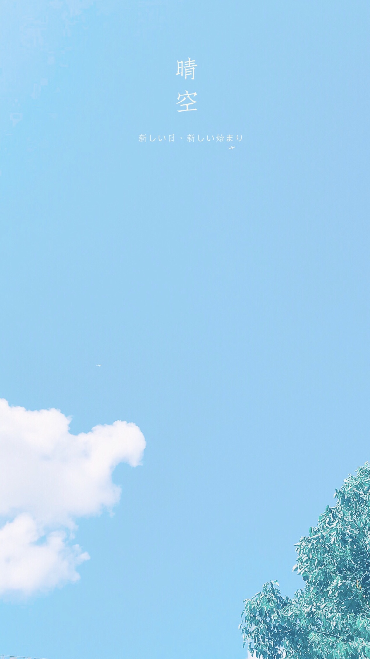 手机壁纸自己制作小程序,怎么制作手机壁纸自己用