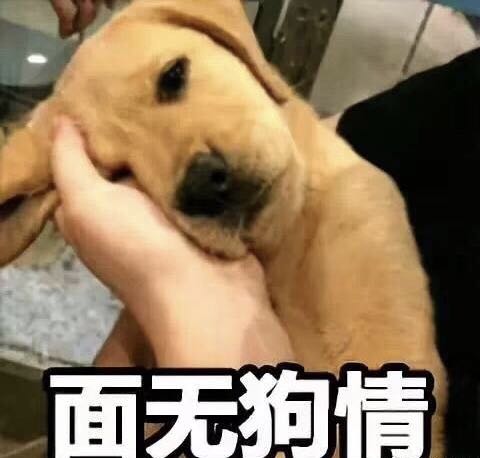 咪蒙写的离婚文章,咪蒙离婚的真实故事