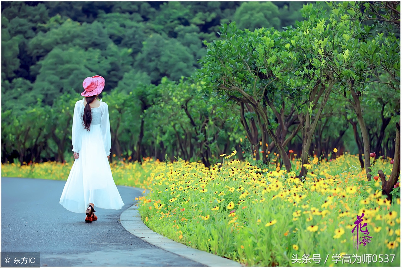 部编版二年级语文上册阅读题练习,小学二年级语文阅读训练100篇